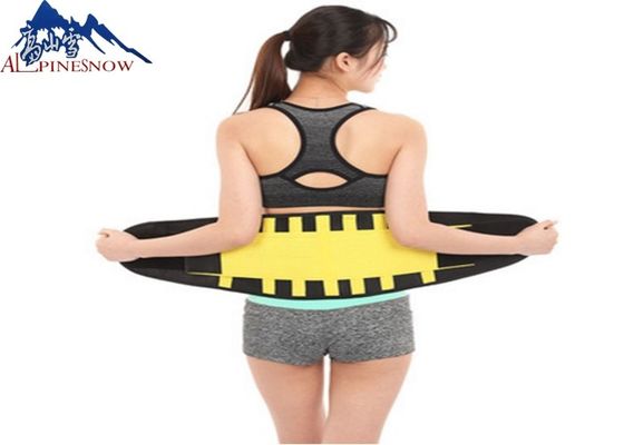 CHINA Neopren-Breathable verstellbarer bunter Eignungs-Rückseiten-Taillen-Stützgurt für Übung und Sport fournisseur